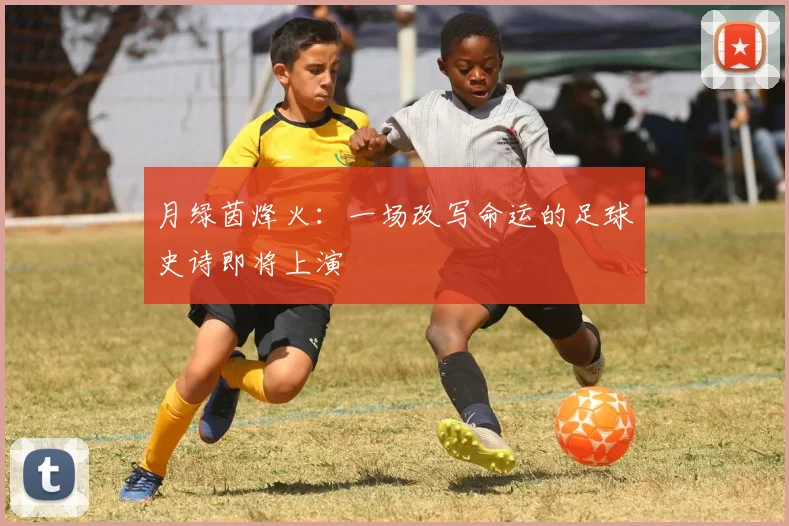 月绿茵烽火：一场改写命运的足球史诗即将上演